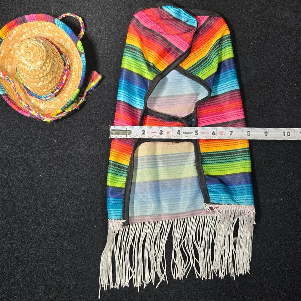 Rainbow Striped Dog Poncho and Sombrero Set Pet Costume Small Medium Festive